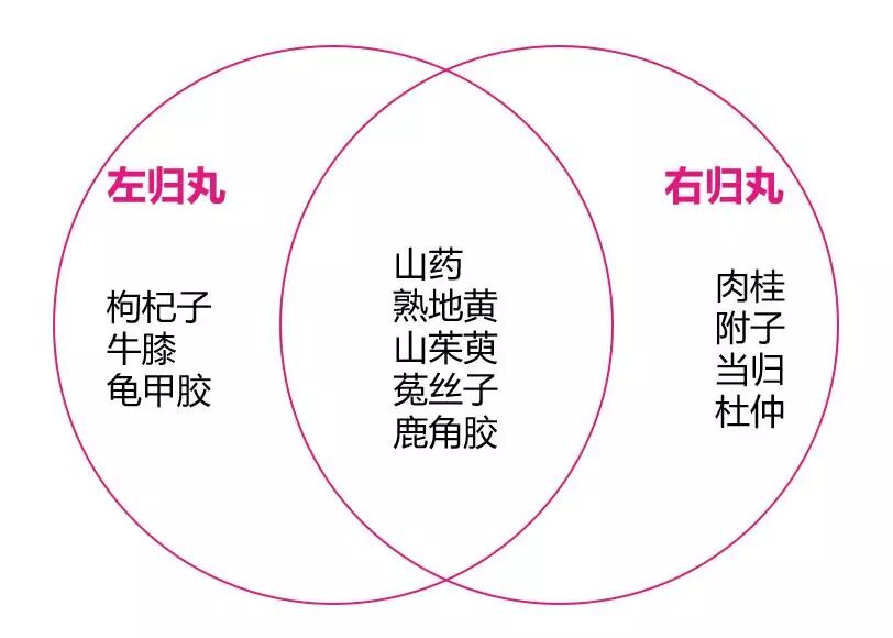 同为补肾良药,左归丸和右归丸在组方上有所类似又各有偏重,如下图所示