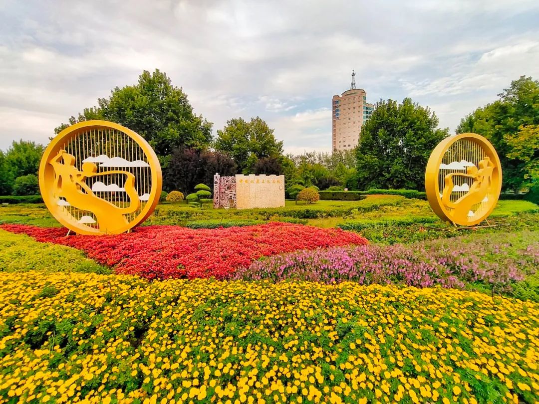 又到了赏菊时节！来开封，约吧-小辉娱乐网