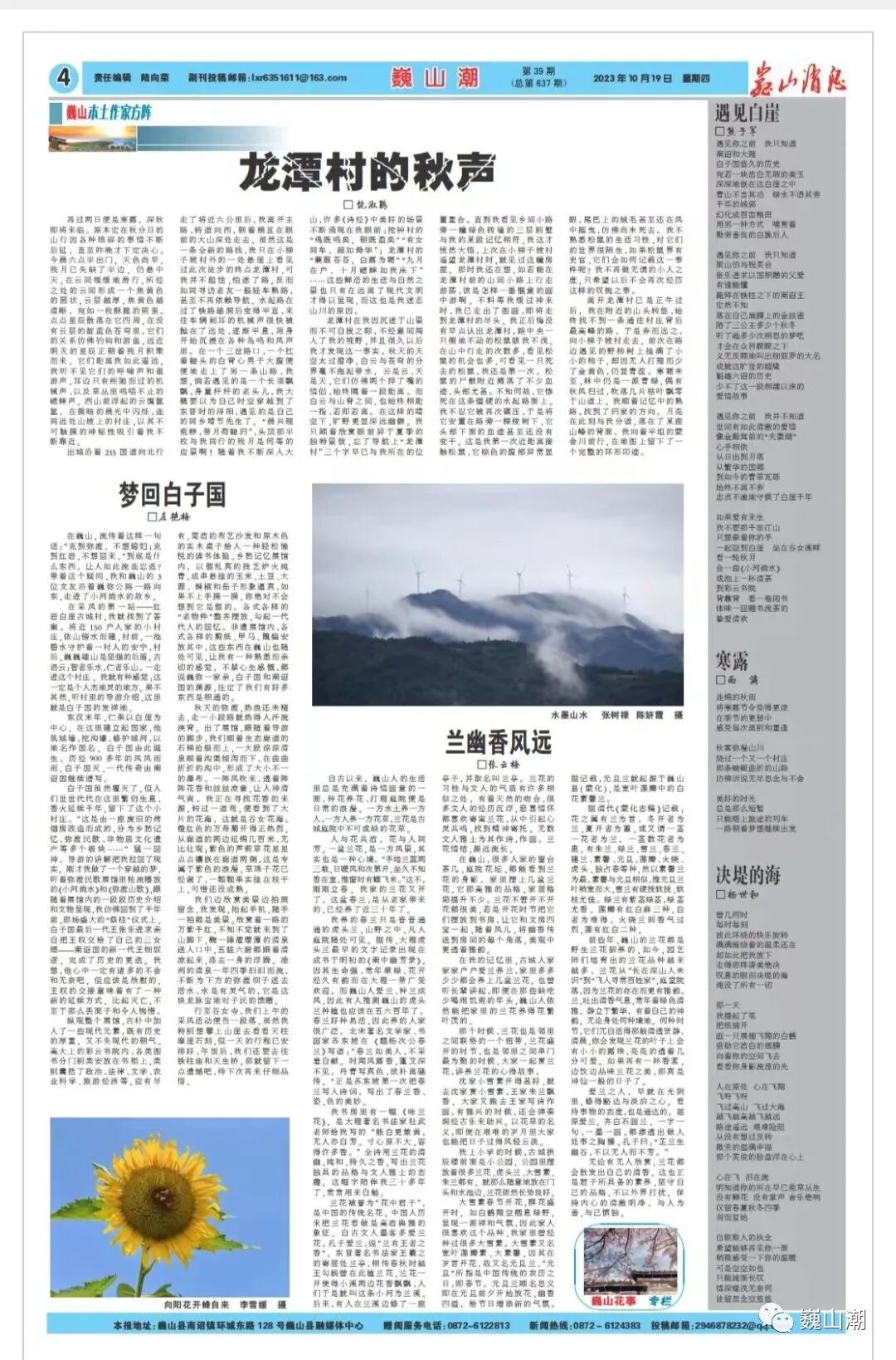 巍山花事专栏⑪兰幽香风远-小辉娱乐网