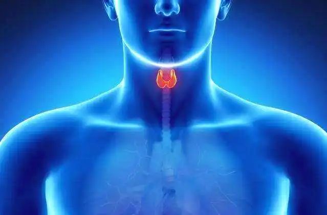 中国癌症地图出炉！这些癌广东人易得，教你防范→-小辉娱乐网