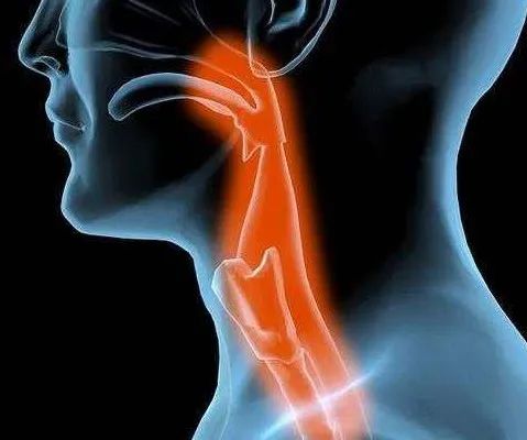 中国癌症地图出炉！这些癌广东人易得，教你防范→-小辉娱乐网