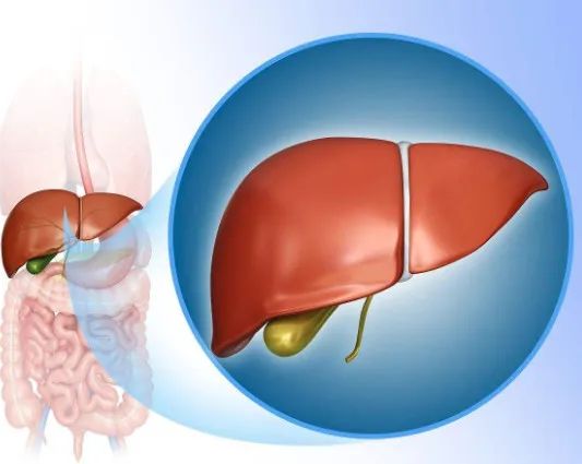 中国癌症地图出炉！这些癌广东人易得，教你防范→-小辉娱乐网