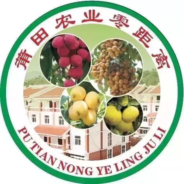 【农安莆田】8万吨文旦柚上市　莆田人实现“蜜柚”自由-小辉娱乐网