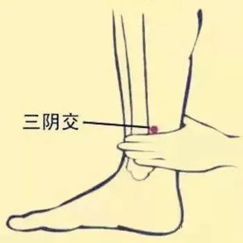 人人都该学习的八个“总穴”，居家实用！-小辉娱乐网