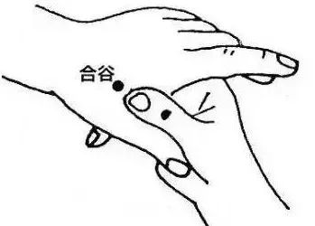 人人都该学习的八个“总穴”，居家实用！-小辉娱乐网