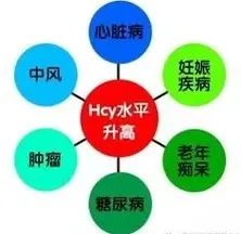 【招募通知】正镶白旗蒙医院医院快讯