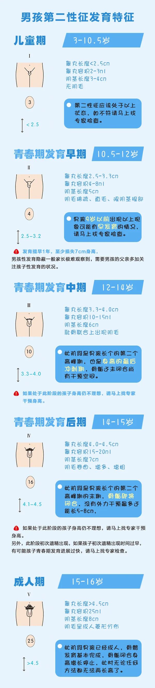 青春期发育后还能长高吗关于青春期和长高那些事你需要尽早了解这些