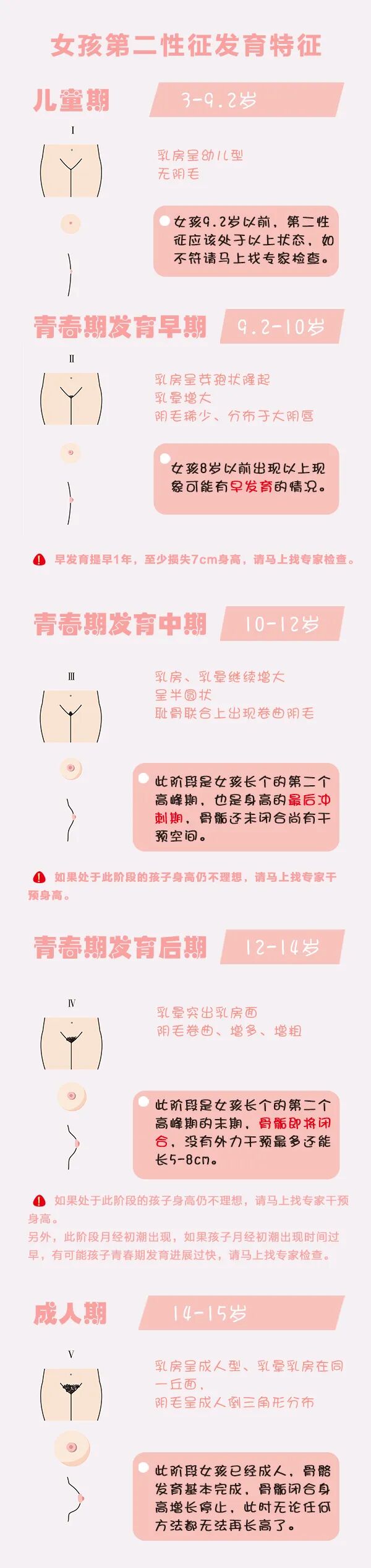 第二性征的发育特征和芳华期历程芳华期是指儿童青少年在生长发育过程