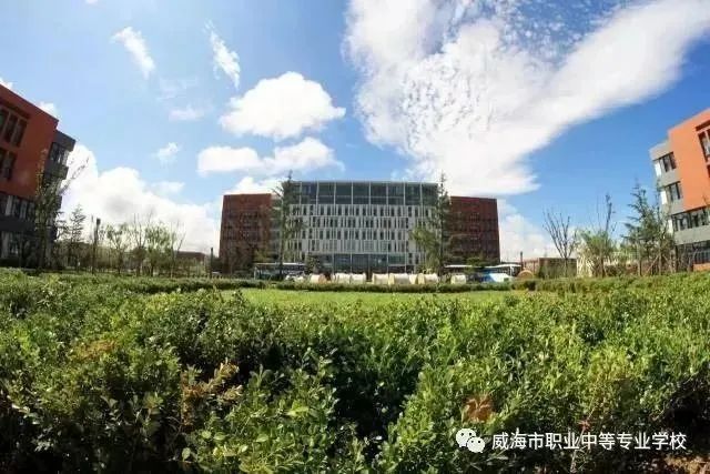 【红色浸润·匠心育人】威海职专..扫雪除冰活动纪实-小辉娱乐网