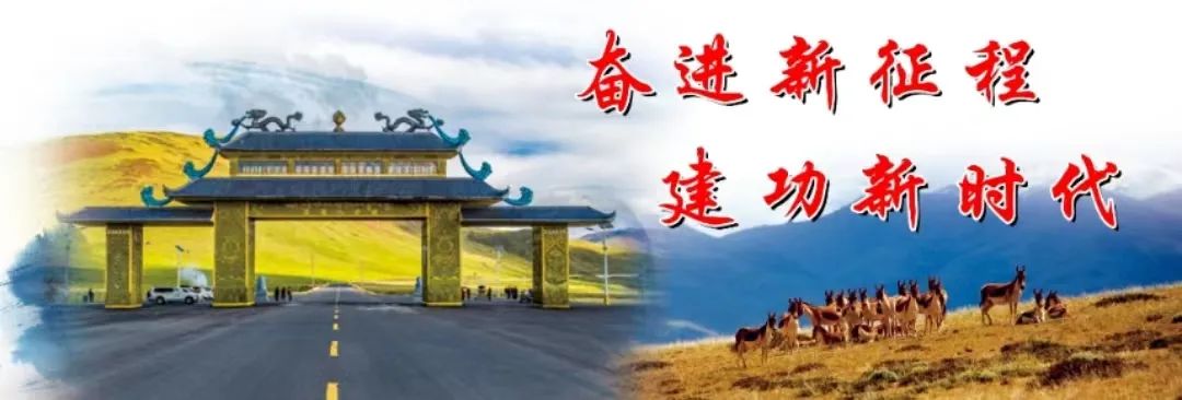 【生态曲麻莱】共筑共建，打造黄河源头美丽生态-小辉娱乐网
