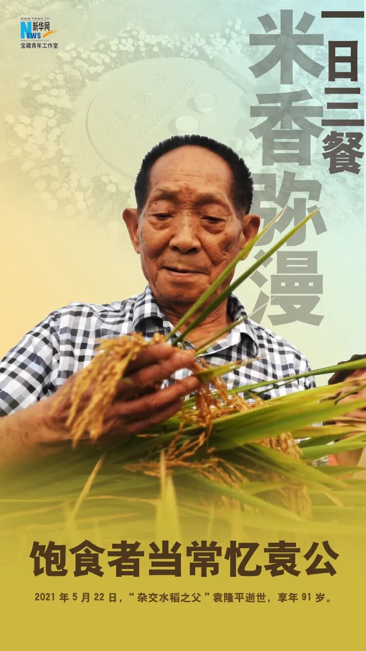 英语十级，排球王子，不爱出名有“偶像包袱”……他还是“杂交水稻之父”！-小辉娱乐网