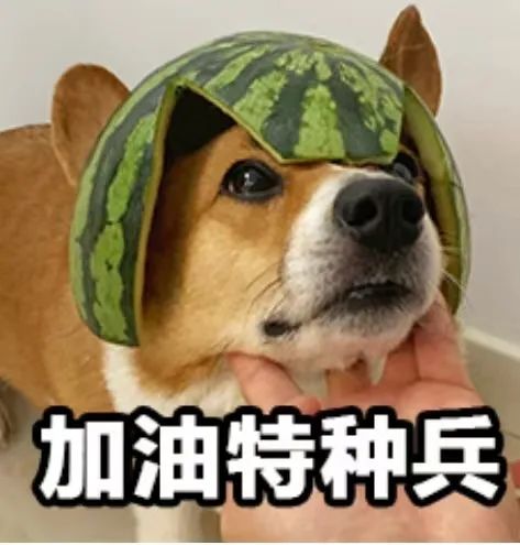 “脆皮大学生”走红：“我伸个懒腰，脖子扭了……”-小辉娱乐网