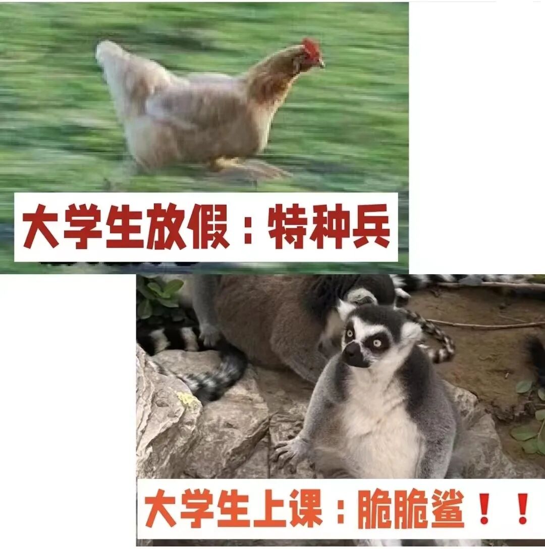 “脆皮大学生”走红：“我伸个懒腰，脖子扭了……”-小辉娱乐网