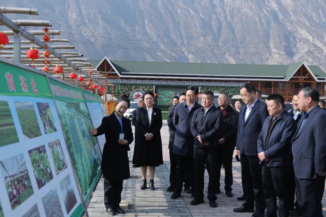 文旅胜地 康养之都——武都夯实文旅康养产业高质量发展“硬支撑”-小辉娱乐网