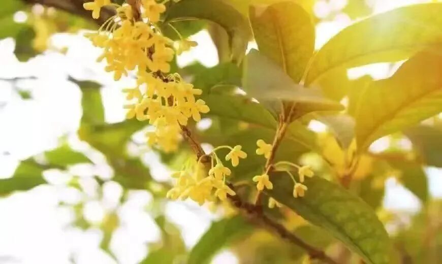 冷空气要来了！-小辉娱乐网