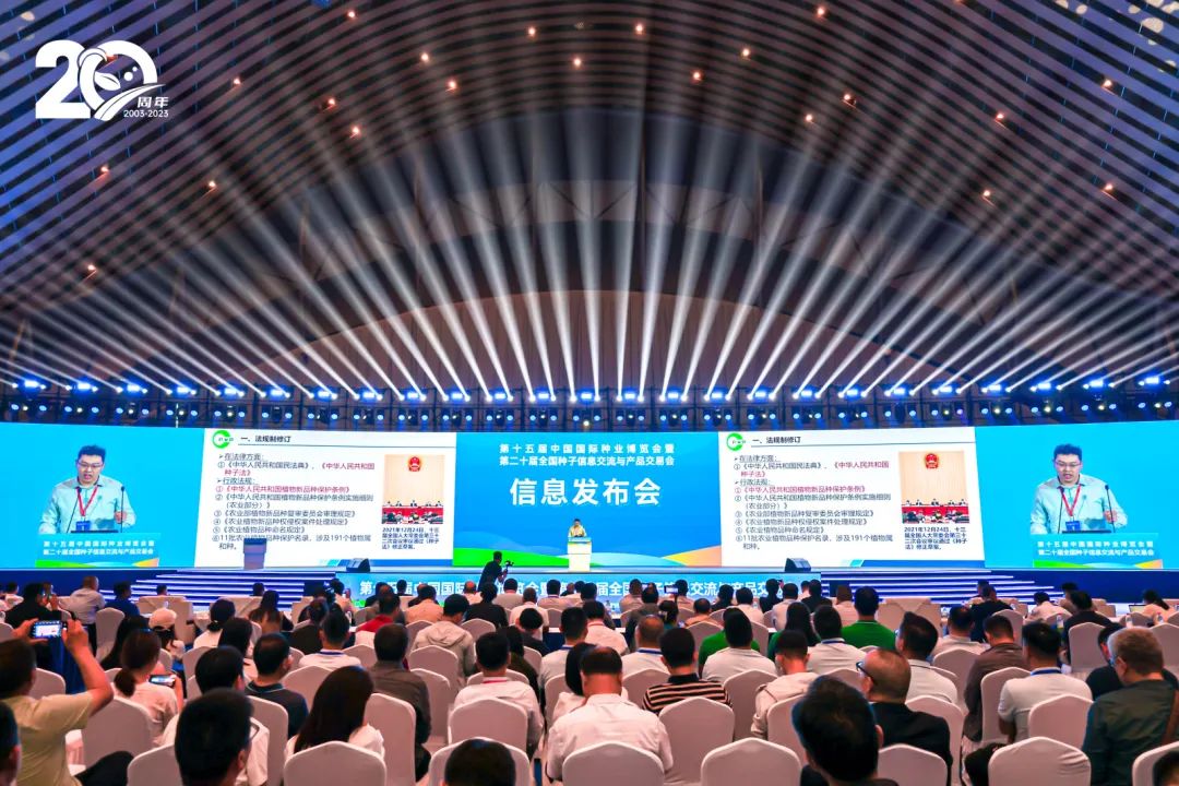 【国科快资讯】全国最大玉米制种基地“易主”，来看2024年全国种子供需形势！-小辉娱乐网