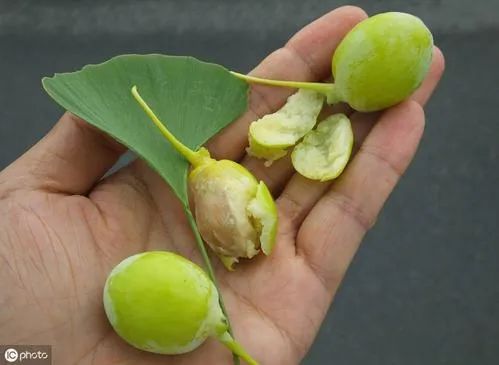 中医眼里的“核污染”，再次颠覆认知！