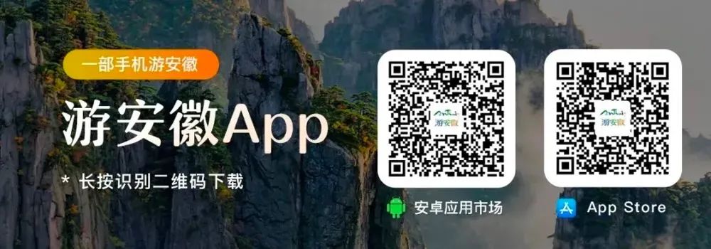 安徽国际文化旅游节 | 安徽省舞台艺术精品剧目展演 淮北梆子戏《风雨王家坝》-小辉娱乐网