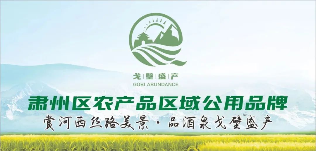 技术引领产业升级 助力蔬菜产业再上新台阶-小辉娱乐网