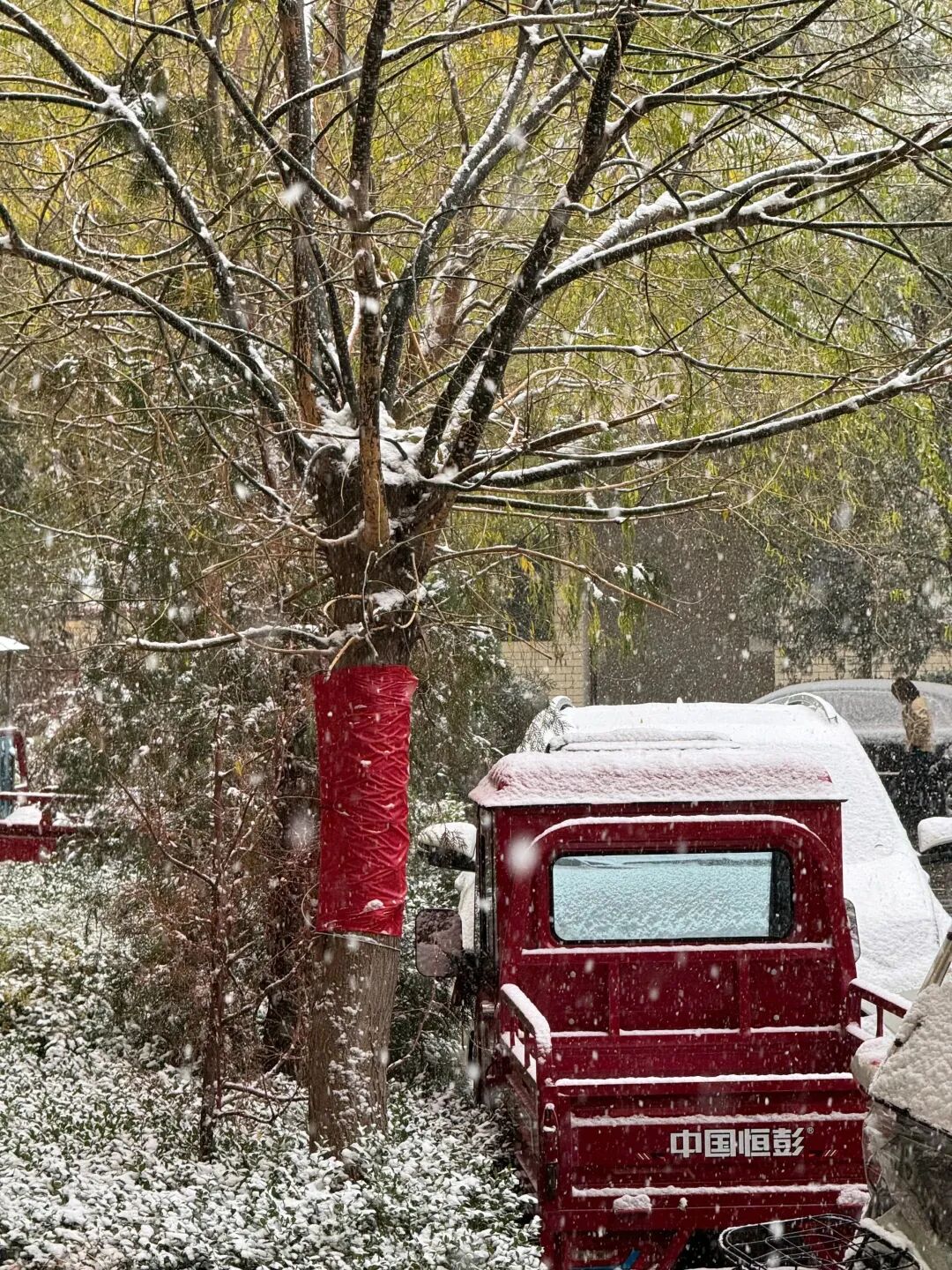 爱了 爱了！今天被兰州的雪“刷屏”了！-小辉娱乐网