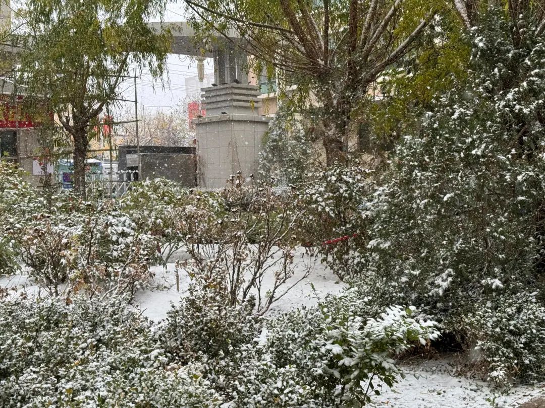 爱了 爱了！今天被兰州的雪“刷屏”了！-小辉娱乐网