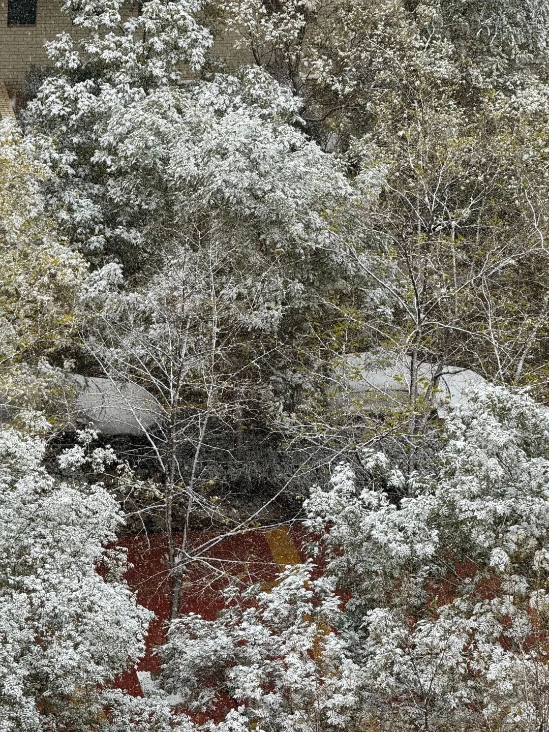 爱了 爱了！今天被兰州的雪“刷屏”了！-小辉娱乐网