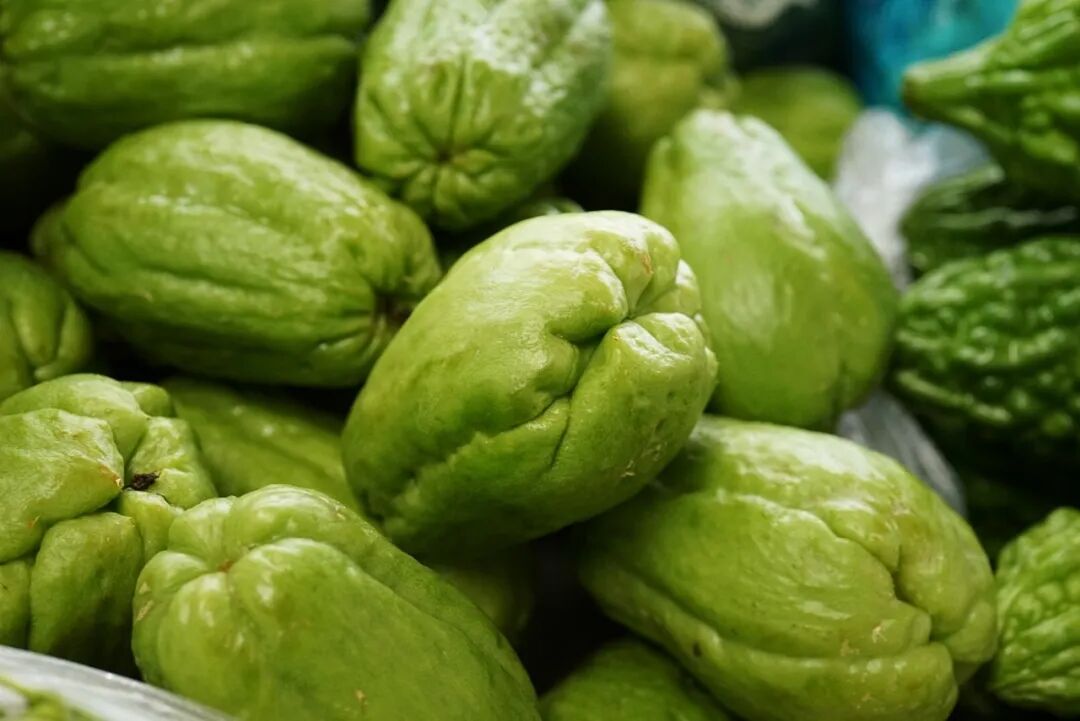 洋丝瓜,单株产量大,也叫丰收瓜,有些省份叫佛手瓜.