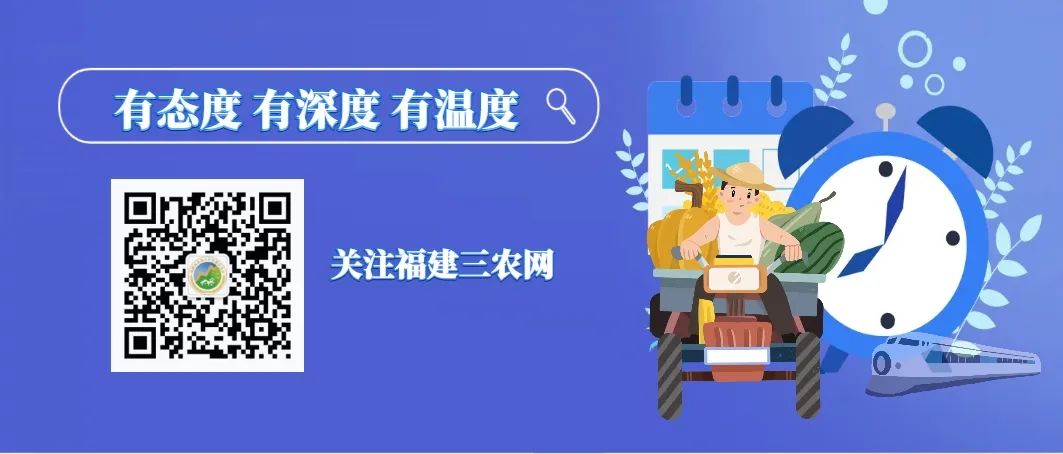 ..挑头创业 “空巢村”走出振兴新路子-小辉娱乐网