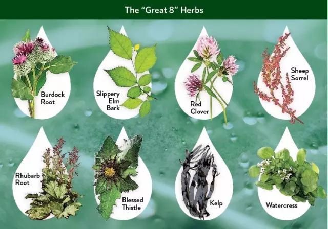 为什么慢性病越来越多？如何守护自己的健康？