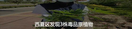中秋将至情渐浓 禁毒同行庆团圆-小辉娱乐网