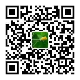 初中阶段小说阅读：常考题型+答题技巧-小辉娱乐网