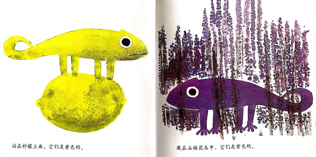 【悦读之声】故事分享第48期——《自己的颜色》-小辉娱乐网