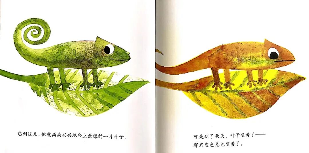 【悦读之声】故事分享第48期——《自己的颜色》-小辉娱乐网