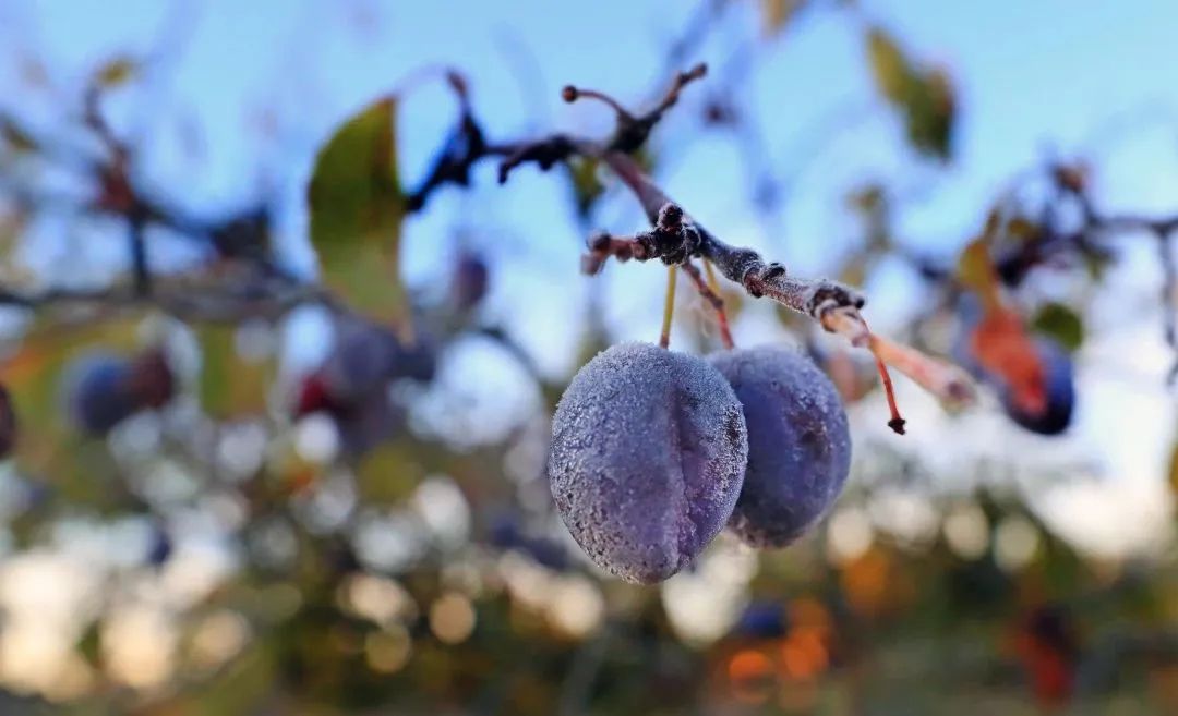 0点20分，婺源迎来……-小辉娱乐网