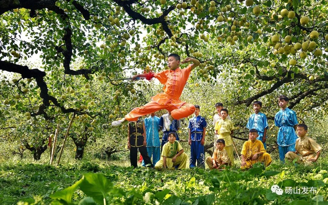 官宣 |第28届中国•砀山采梨节定于9月8日—10月31日隆重举行！-小辉娱乐网