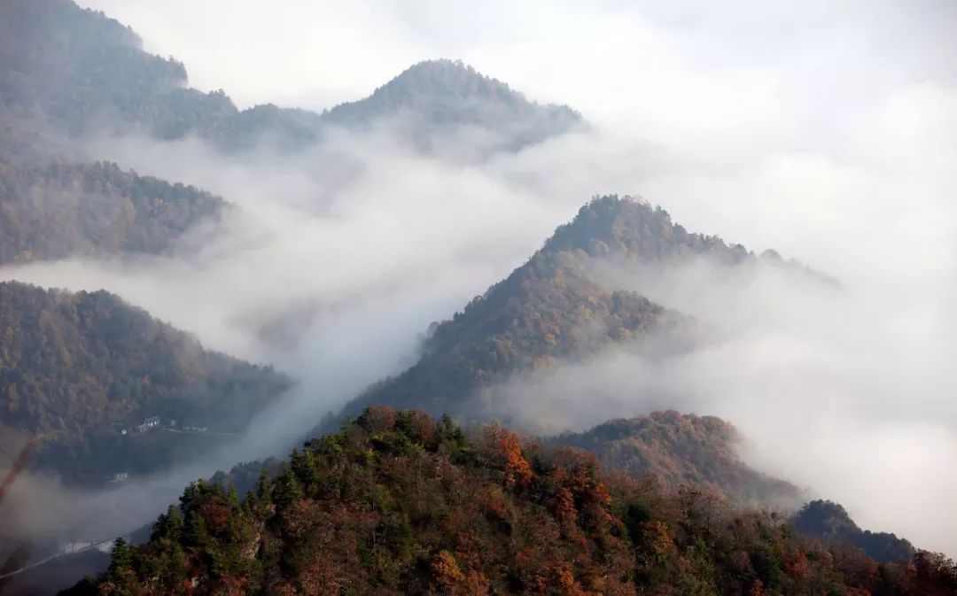 陇南风光 | 陇南的山，好仙呀！-小辉娱乐网