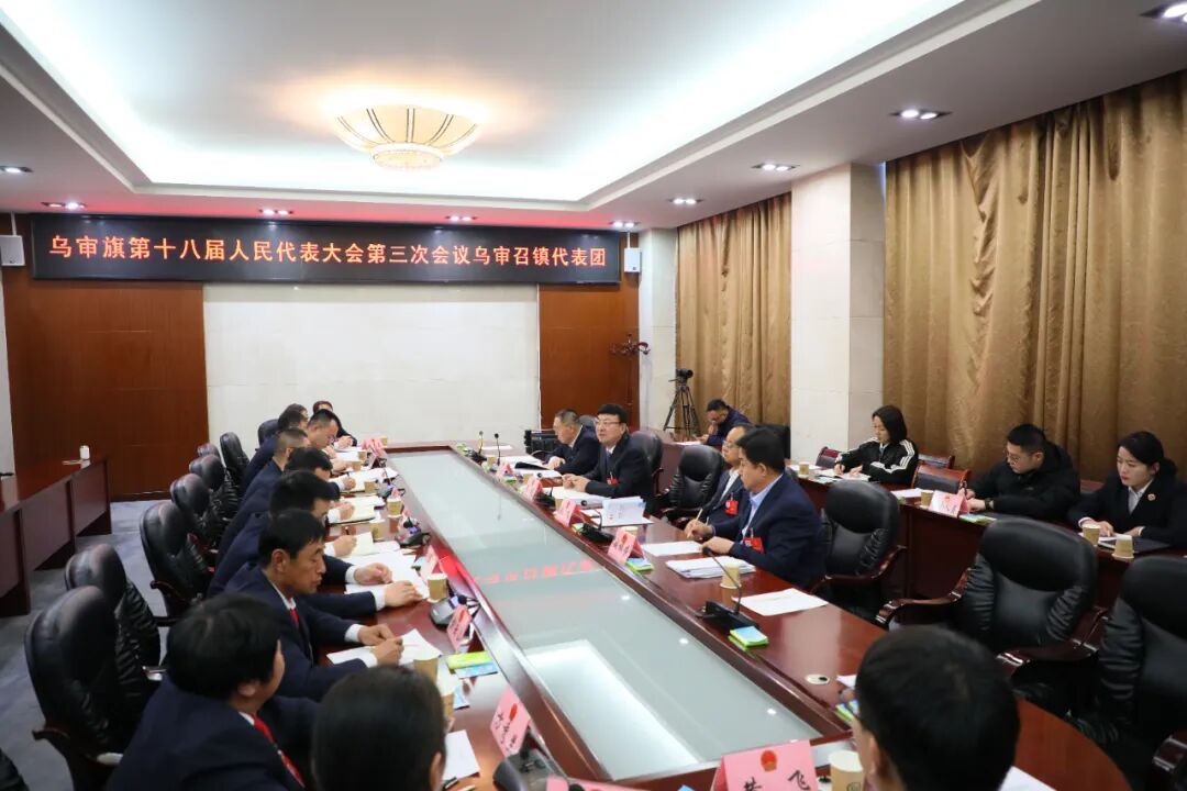 王健分别参加旗十八届人大三次会议乌审召镇、无定河镇代表团分组讨论-小辉娱乐网
