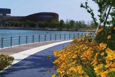 “中秋+国庆”假期上海之鱼交通压力有点大，这份出行建议帮你“减压”！