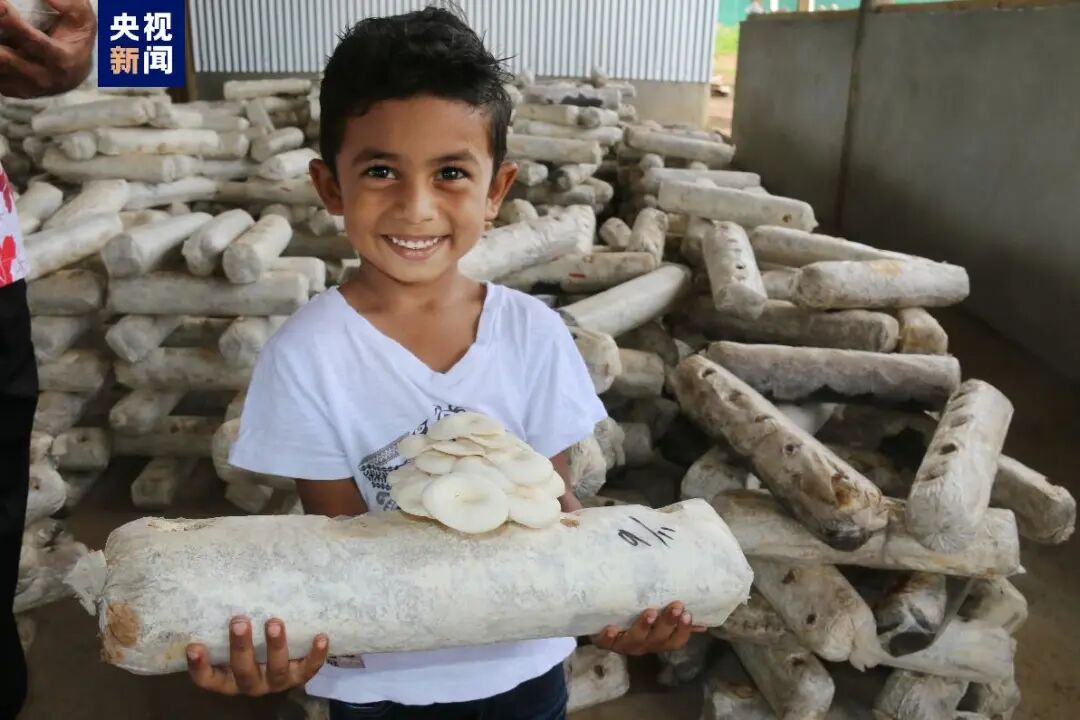 共建“一带一路”·福建说丨刻在骨子里的“爱拼敢赢”-小辉娱乐网