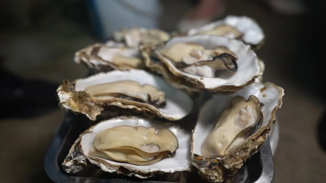 骄傲！！咱岚山乡村越来越好了！！-小辉娱乐网