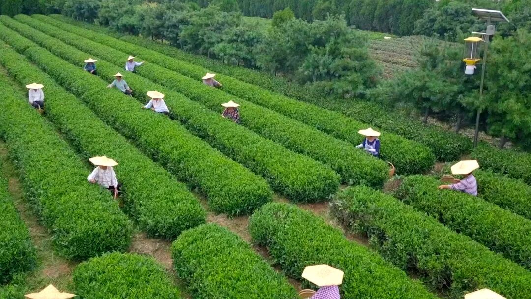 骄傲！！咱岚山乡村越来越好了！！-小辉娱乐网