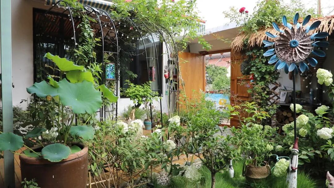 骄傲！！咱岚山乡村越来越好了！！-小辉娱乐网