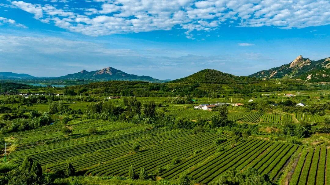 骄傲！！咱岚山乡村越来越好了！！-小辉娱乐网