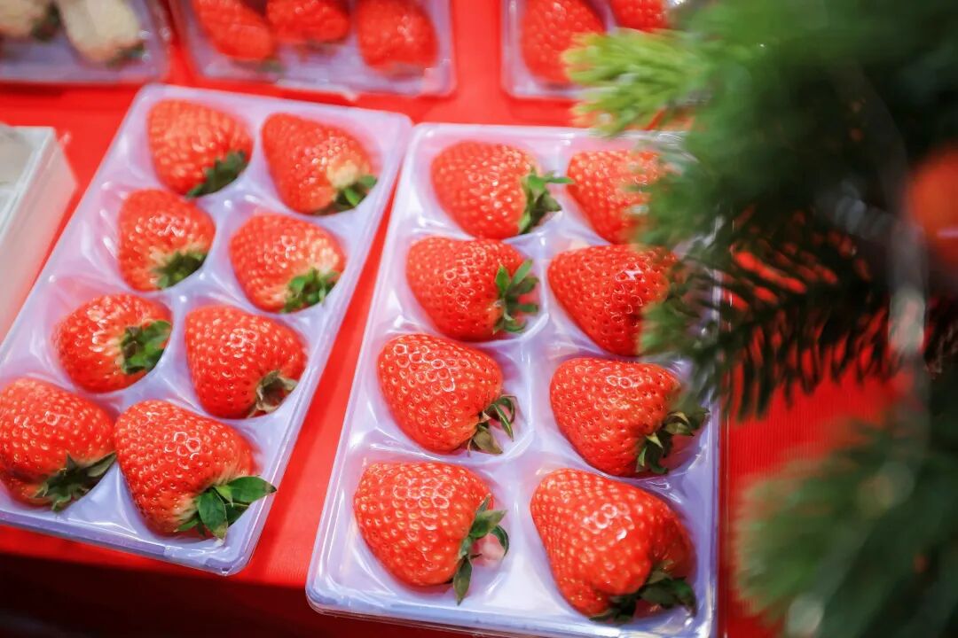 @杭州人,年货消费券来了!-小辉娱乐网