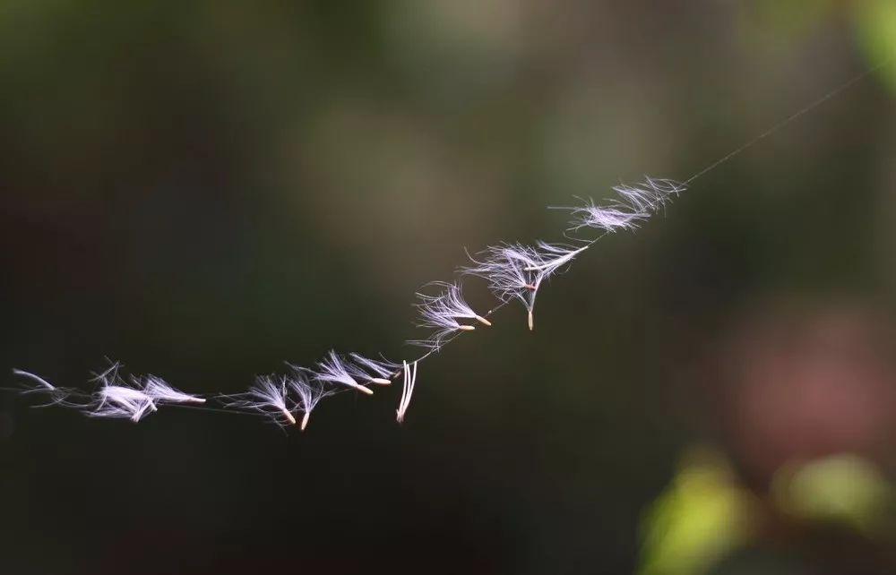 生命的神医从来不是别人，而是你自己。-小辉娱乐网