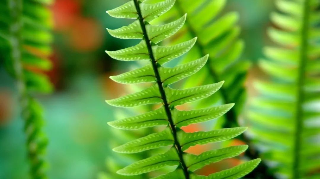 生命的神医从来不是别人，而是你自己。-小辉娱乐网