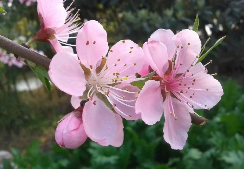 生命的神医从来不是别人，而是你自己。-小辉娱乐网