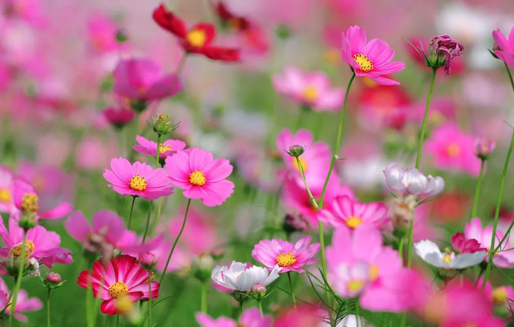 生命的神医从来不是别人，而是你自己。-小辉娱乐网