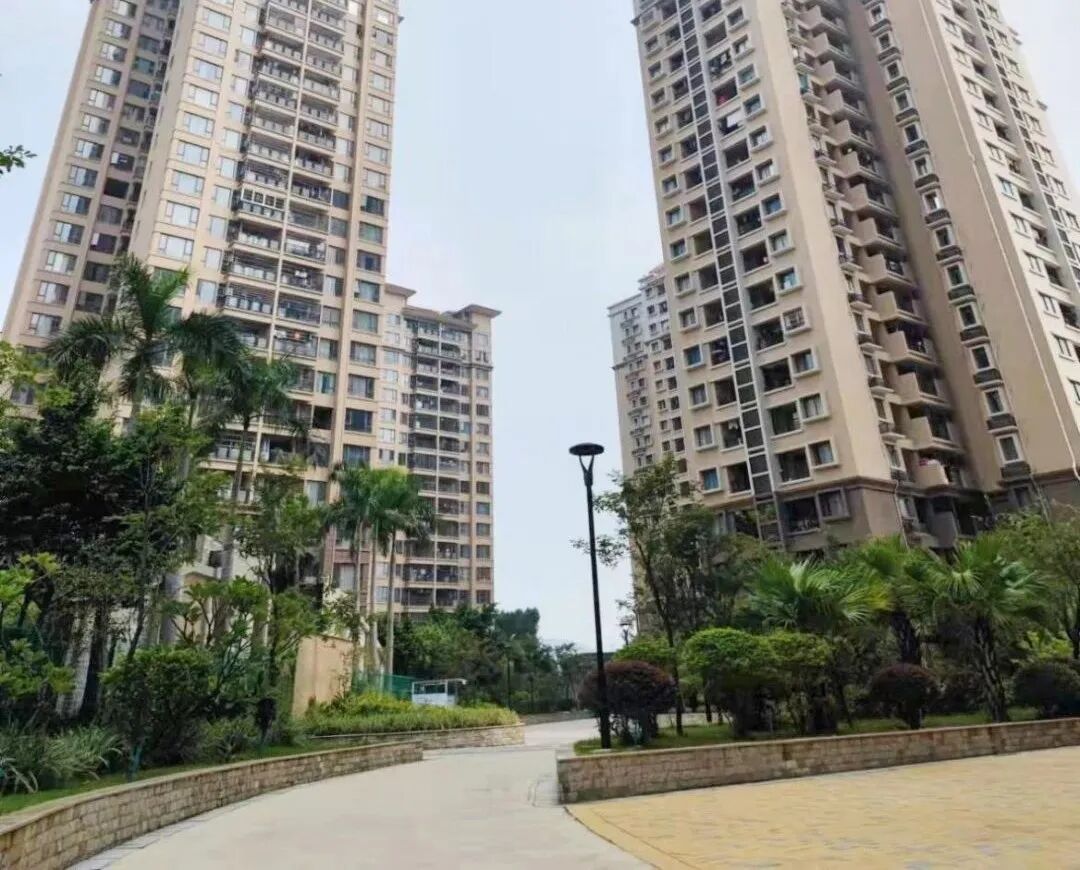 关注！江门出台人才强市“新30条”！-小辉娱乐网