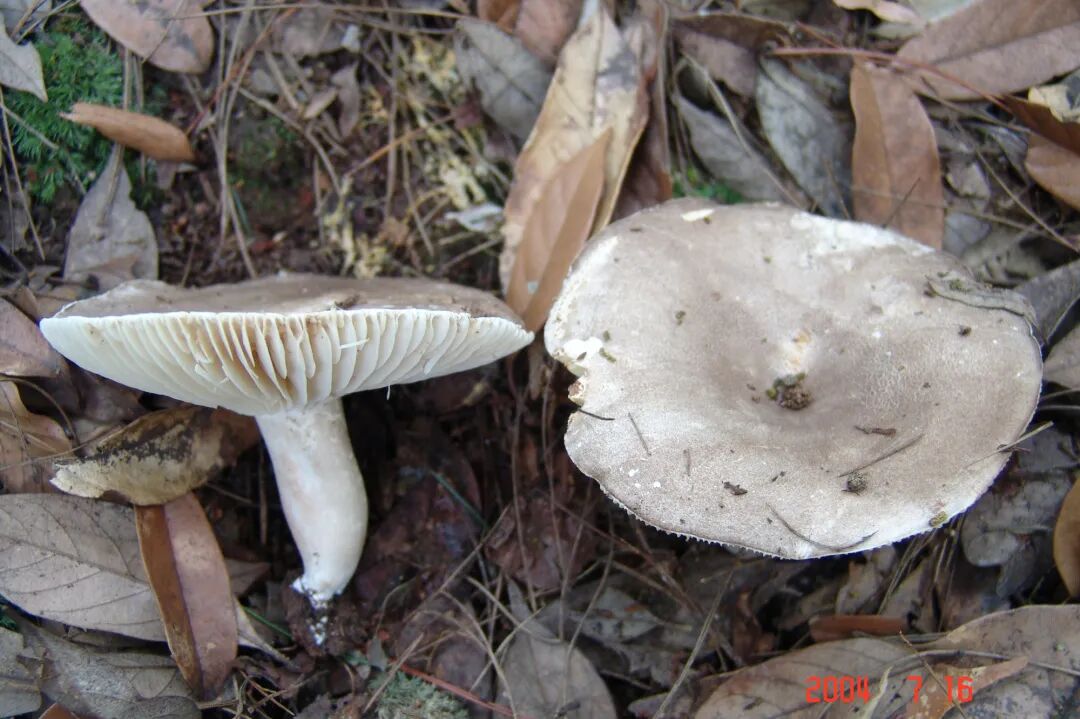 食品安全宣传周丨守护“舌尖上的安全”！这项活动开展→-小辉娱乐网